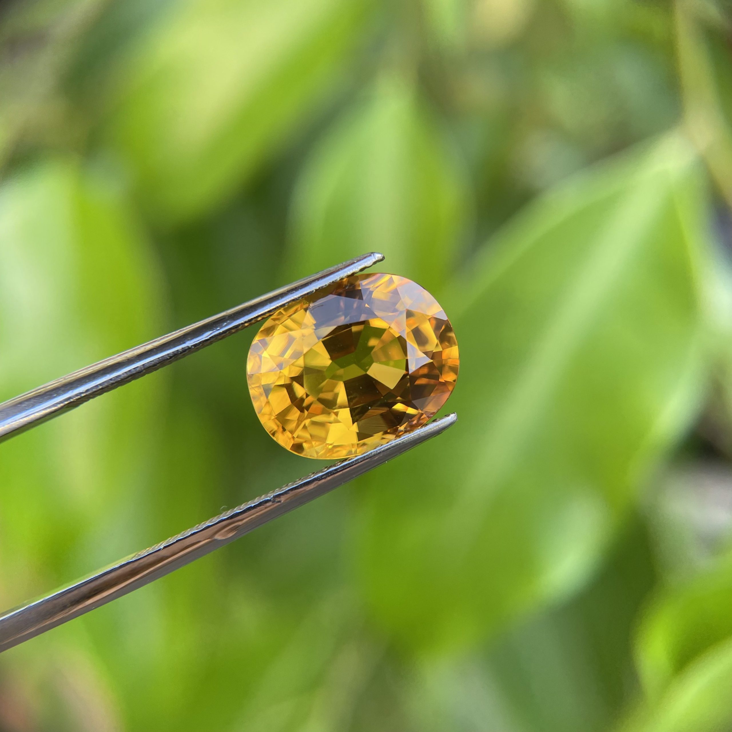 Sapphire vàng mật ong 8.55ct